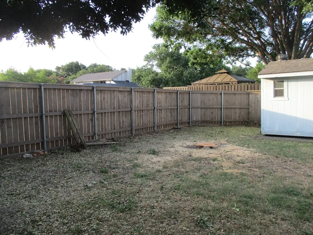 Cleared yard after professional tree removal in Mount Holly Springs